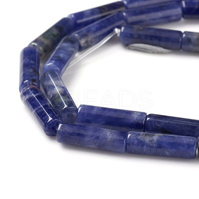 Natural Sodalite Beads Strands X-G-F247-30-1