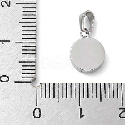 Ion Plating(IP) 304 Stainless Steel Micro Pave Cubic Zirconia Pendants STAS-Z107-02P-01-1