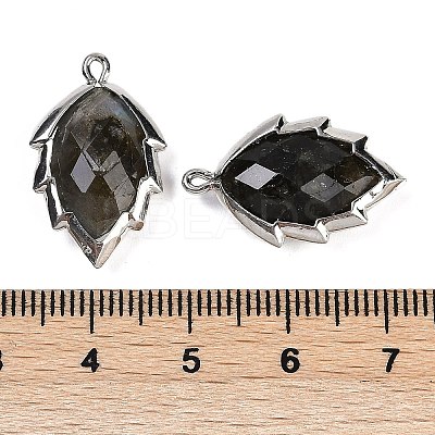 Natural Labradorite Faceted Leaf Pendants G-I375-04P-08-1