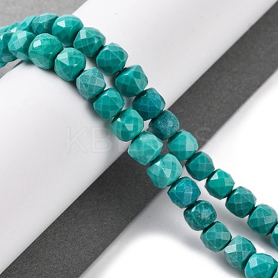 Natural Howlite Beads Strands G-G001-B02-03-1