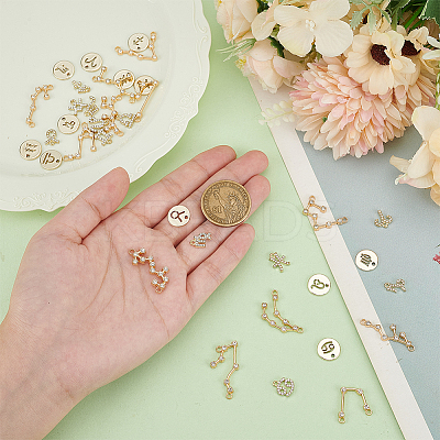 DIY Twelve Constellation Alloy Rhinestone Connector Charms & Pendants Jewelry Making Findings Kits DIY-AR0004-13-1