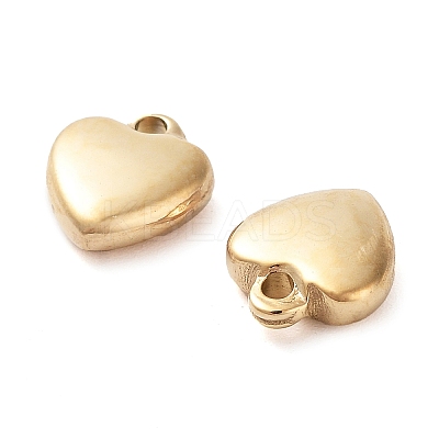 304 Stainless Steel Charms STAS-L022-377G-1