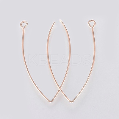 Ion Plating(IP) 304 Stainless Steel Earring Hooks STAS-K184-05-01RG-1