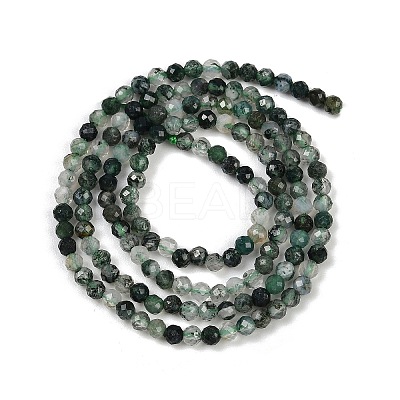 Natural Moss Agate Beads Strands X-G-A129-3mm-01-1