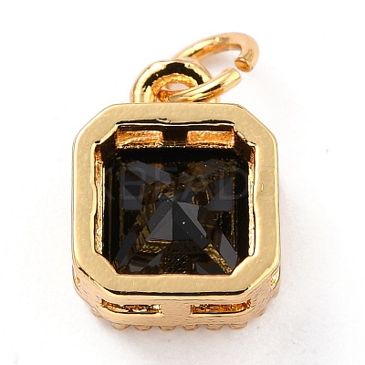 Real 18K Gold Plated Brass Inlaid Cubic Zirconia Charms ZIRC-L100-073G-03-1