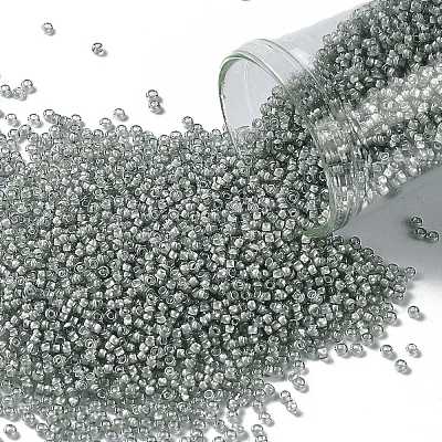 TOHO Round Seed Beads SEED-XTR15-0376-1