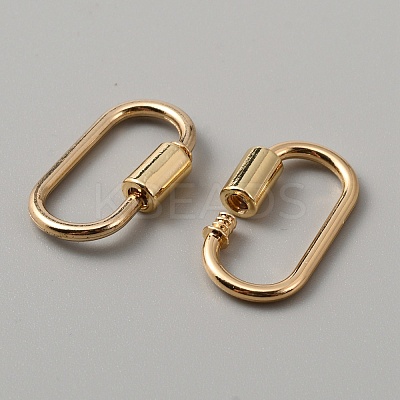 Alloy Screw Carabiner Lock Charms FIND-WH0111-370G-1