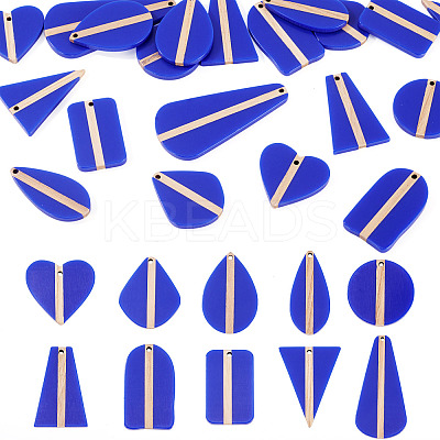 20Pcs 10 Styles Opaque Resin & Wood Pendants RESI-TA0004-68-1