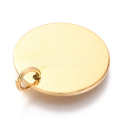 Ion Plating(IP) 304 Stainless Steel Charms LS-EJEW-L238-03E-G-1
