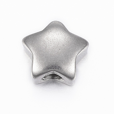 Tarnish Resistant 304 Stainless Steel Beads STAS-H398-31P-1