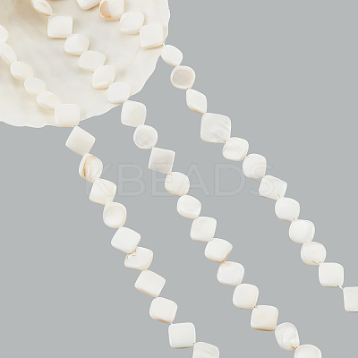 3 Strands Natural Freshwater Shell Beads Strands SHEL-NB0001-46-1