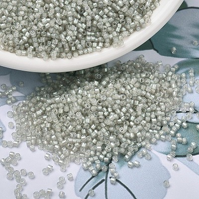 MIYUKI Delica Beads SEED-X0054-DB1711-1