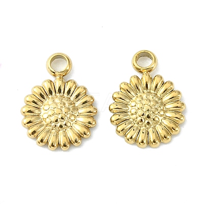 304 Stainless Steel Charms STAS-L269-070G-1