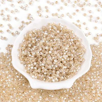 Glass Seed Beads SEED-N007-01I-1