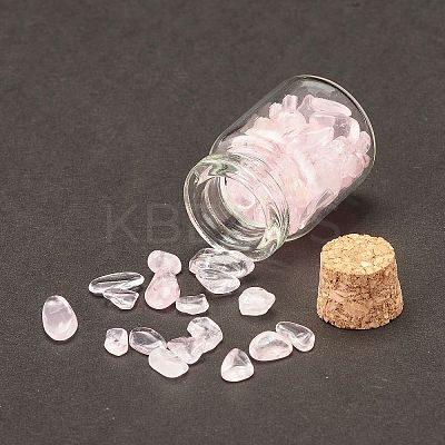 Transparent Glass Wishing Bottle Decoration LS-DJEW-A001-01A-07-1