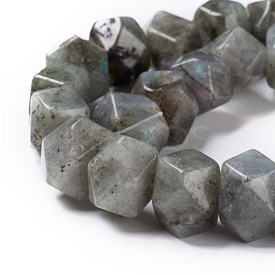 Natural Labradorite Beads Strands G-I194-46-1