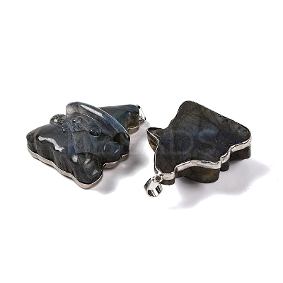 Natural Labradorite Carved Pendants G-B085-11P-1