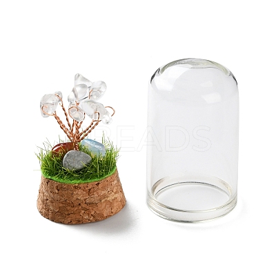 Natural Mixed Gemstone Chips Money Tree in Dome Glass Bell Jars with Wood Base Display Decorations DJEW-K030-02-1