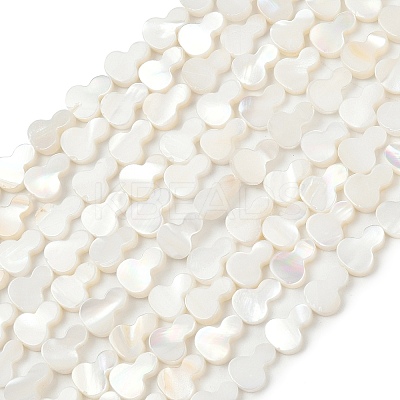 Natural Freshwater Shell Beads Strands SHEL-K010-02A-1