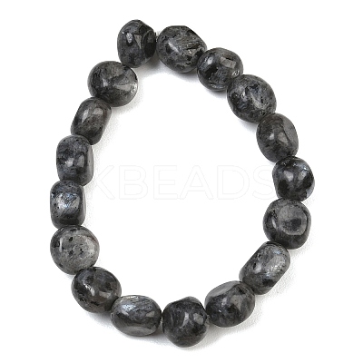 Natural Larvikite Beads Strands GG-CBA787B-A37-1