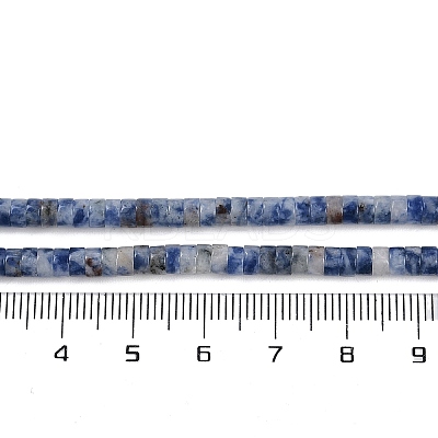 Natural Blue Spot Jasper Beads Strands G-H230-56-1
