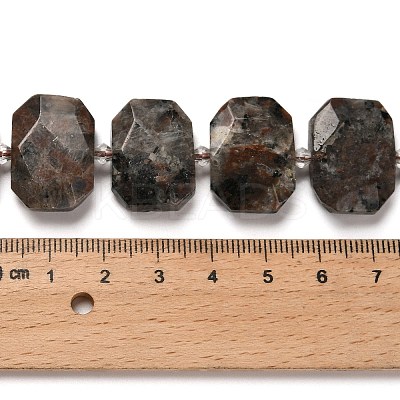 Natural Fluorescent Syenite Rock(Glow under UV Light) Beads Strands G-H078-B11-01-1