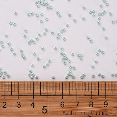 11/0 FGB Grade A Baking Paint Glass Seed Beads X-SEED-N001-A-1031-1