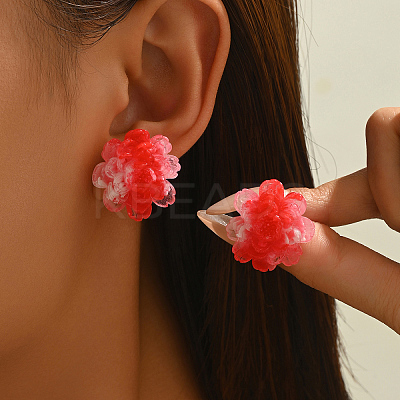 Resin Stud Earrings for Women WV5243-1