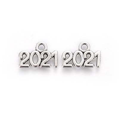 Tibetan Style Zinc Alloy Charms LS-PALLOY-I141-30AS-B-1