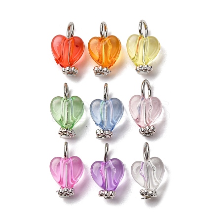 Transparent Acrylic Pendants PALLOY-JF04417-1