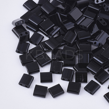 FGB 2-Hole Glass Seed Beads X-SEED-S031-L-049-1