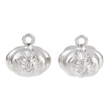 304 Stainless Steel Pendants STAS-L303-25P-1