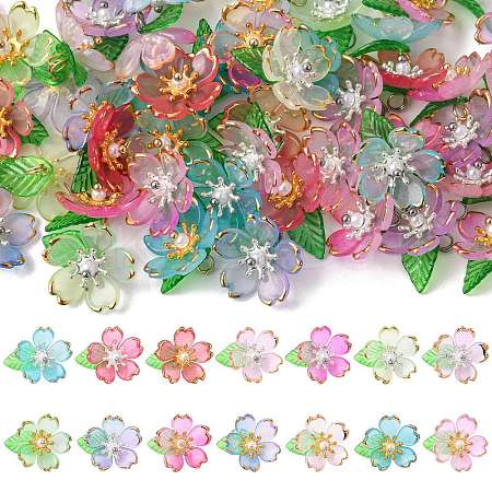 70Pcs Transparent Acrylic Pendants PALLOY-FS00050-1