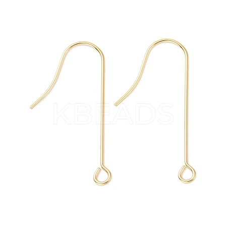 316 Surgical Stainless Steel Earring Hooks STAS-E027-02B-G-1