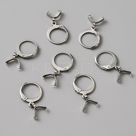 304 Stainless Steel Leverback Earring Finding STAS-WH0022-87P-1