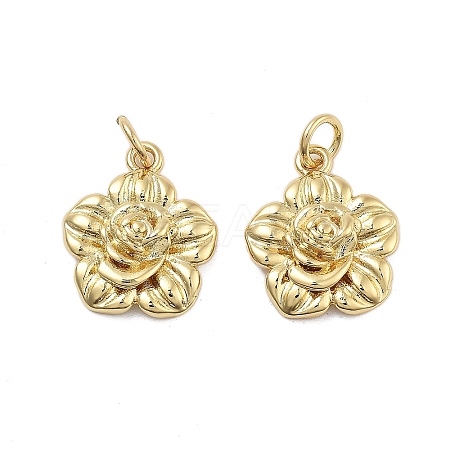 Brass Pendants KK-Q006-04G-1