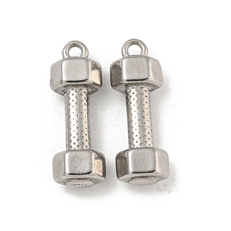 Non-Tarnish 304 Stainless Steel Pendants STAS-N103-79P-1
