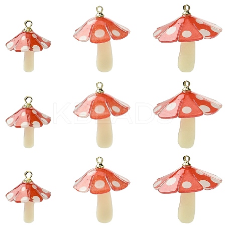 15Pcs 3 Styles Plastic Pendants KY-CJ0002-13-1