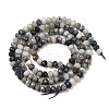 Natural Blue Spot Jasper Beads Strands G-D347-B06-3