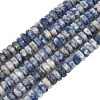 Natural Blue Spot Jasper Beads Strands G-L654-I06-01-2