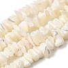 Natural White Mother of Pearl Shell Chip Bead Strands G-M205-63-2