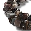 Natural Alashan Agate Beads Strands G-M205-79-4