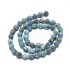 Natural Apatite Beads Strands G-K303-B14-8mm-2