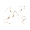 Iron Earring Hooks LS-X-IFIN-EC135-RG-1