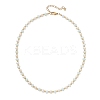 Natural Pearl and Shell Rondelle Beaded Necklaces NJEW-JN05852-4