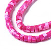 Natural Trochus Shell Beads Strands SHEL-S278-027E-3