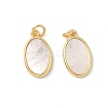 Brass Pave Natural Shell Pendants KK-L239-049G-02-1
