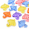 Transparent Acrylic Pendants TACR-T024-01B-1
