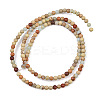 Natural Aqua Terra Jasper Beads Strands G-E444-14B-3mm-3