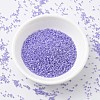MIYUKI Delica Beads SEED-X0054-DB0249-2